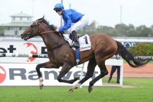 Ravent Stakes betting favoured the 2015 winner Contributer